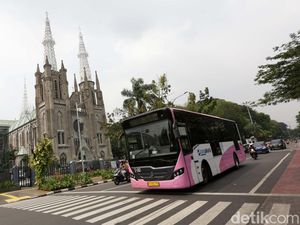 Penampakan Bus TransJakarta Warna Pink yang Kembali Membelah Ibu Kota Penampakan Bus TransJakarta Warna Pink yang Kembali Membelah Ibu Kota