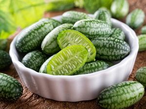 Ini Dia Cucamelons, Semangka Mini Favorit Orang Meksiko Ini Dia Cucamelons, Semangka Mini Favorit Orang Meksiko