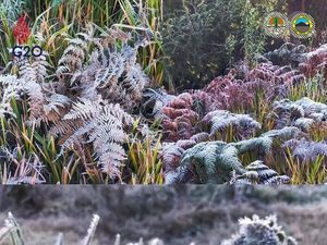 Wow! Embun Upas Selimuti Bromo, Jangan Salah Kostum, yang Asma Ekstra Waspada