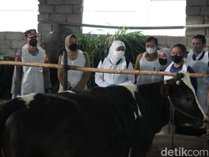 PMK di Jatim Melandai, Pemprov Maksimalkan 600 Ribu Dosis Vaksin Tahap II