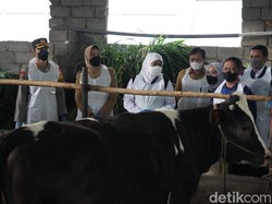 PMK di Jatim Melandai, Pemprov Maksimalkan 600 Ribu Dosis Vaksin Tahap II