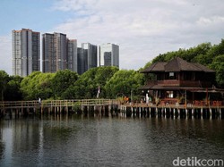Hari Mangrove Sedunia 26 Juli: Tema dan Sejarah Peringatannya