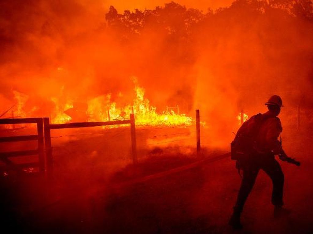 Gila! Saking Panasnya, Hutan California Terbakar Berhektare-hektare