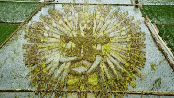 Lansekap Crop Circle 3D Paling Keren di China
