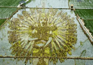 Lansekap Crop Circle 3D Paling Keren di China