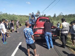 Pikap Tabrak Pohon di Paliyan Gunungkidul, 1 Penumpang Tewas