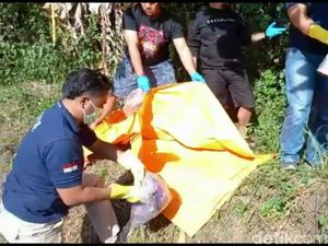 Identitas Korban Mutilasi Ungaran Terungkap: Wanita Asal Tegal