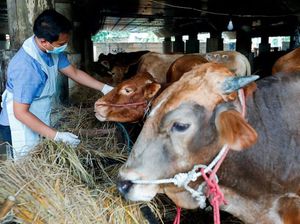 PM Australia Tegaskan Tak Akan Tutup Perbatasan dengan RI Akibat Penyakit Mulut-Kuku