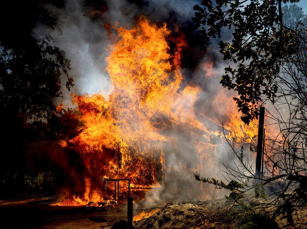 Kebakaran Hutan di California Meluas, 3 Ribu Warga Dievakuasi Kebakaran Hutan di California Meluas, 3 Ribu Warga Dievakuasi