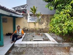 Cerita di Balik Pohon Hanjuang yang Sarat Nilai Sejarah