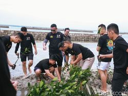 Alumni Akpol Tanam 5 Ribu Mangrove di Kepulauan Seribu
