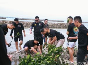 Alumni Akpol Tanam 5 Ribu Mangrove di Kepulauan Seribu Alumni Akpol Tanam 5 Ribu Mangrove di Kepulauan Seribu