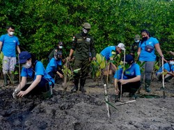 Konservasi Bibit Mangrove di Bali, Cara Ajak Generasi Muda Sadar Lingkungan