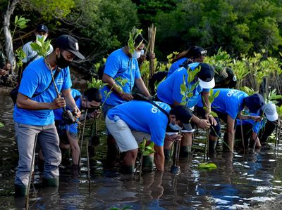 Aksi Tanam 40.000 Bibit Bakau di Hutan Mangrove Bali