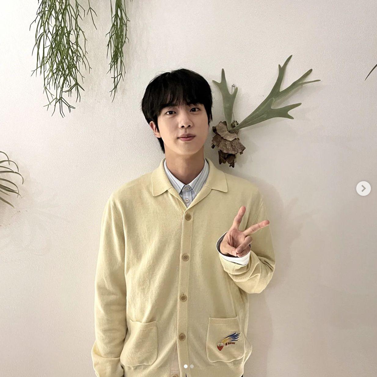 Jin BTS