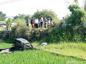 Pikap Terjun ke Sawah di Jalur Angker Tasikmalaya