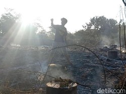 2 Kandang Isi Ribuan Ayam di Pasuruan Terbakar, Peternak Rugi Rp 600 Juta