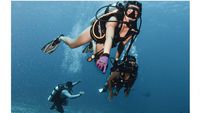 8 Foto Nia Ramadhani Diving di Labuan Bajo, Pamer Tubuh Langsing Berbikini