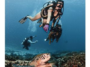 8 Foto Nia Ramadhani Diving di Labuan Bajo, Pamer Tubuh Langsing Berbikini