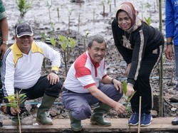 Gubernur Riau Pimpin Penanaman 200.000 Bibit Mangrove di Bengkalis