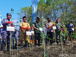 Rayakan Hari Mangrove Sedunia, 5.000 Pohon Ditanam di Pantai Banyuwangi