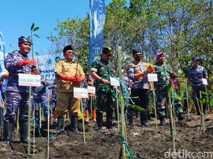 Peringati Hari Mangrove Sedunia, 5.000 Pohon Ditanam di Pantai Banyuwangi Peringati Hari Mangrove Sedunia, 5.000 Pohon Ditanam di Pantai Banyuwangi