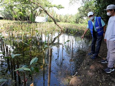 Seribu Mangrove untuk Pelestarian Lingkungan Pesisir Utara Jakarta
