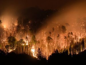 Pemandangan Taman Nasional Bohemian Swiss Saat Dilahap Si Jago Merah Pemandangan Taman Nasional Bohemian Swiss Saat Dilahap Si Jago Merah