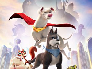 Jadwal Bioskop Solo 28 Juli 2022, Bukan Cinderella di Grand XXI Jadwal Bioskop Solo 28 Juli 2022, Bukan Cinderella di Grand XXI