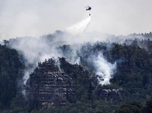 Helikopter Dikerahkan untuk Padamkan Kebakaran Hutan di Jerman