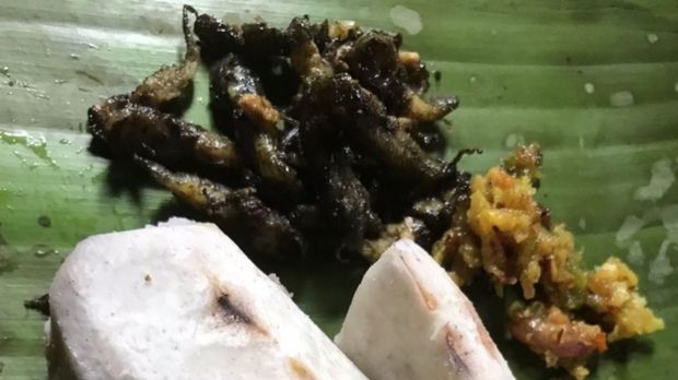 Warga Kampung Adat Miduana, Cianjur, Jawa Barat, meyakini ikan Payo yang mereka konsumsi salah satu rahasia umur panjang yang dimiliki belasan orang warga.(ANTARA/Ahmad Fikri).