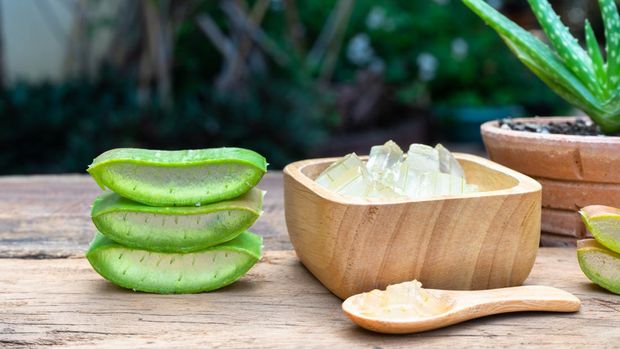 Fresh aloe vera plant, slices and gel on wooden background, skin therapy concept, copy space