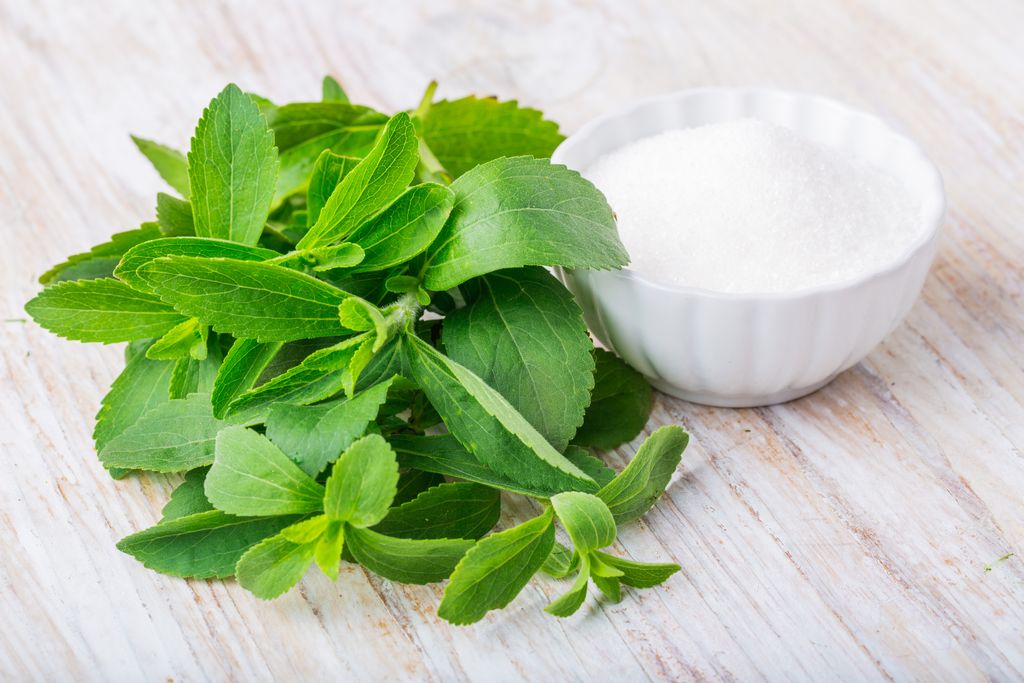 Ilustrasi stevia