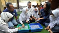 Saat Siswa SLB Mengikuti Pelatihan Hidroponik