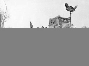 Ketika China Perangi Burung Gereja dan Jutaan Orang Mati Kelaparan Ketika China Perangi Burung Gereja dan Jutaan Orang Mati Kelaparan