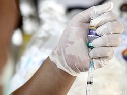 Vaksinasi Rabies Pemkot Bandung, Pemilik Kucing dan Anjing Merapat