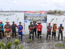 Tanam Mangrove Serentak se-Indonesia, TNI AL Pecahkan Rekor MURI