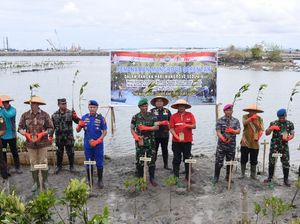Tanam Mangrove Serentak se-Indonesia, TNI AL Pecahkan Rekor MURI Tanam Mangrove Serentak se-Indonesia, TNI AL Pecahkan Rekor MURI