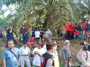 Jenazah Brigadir J Diautopsi Ulang, Anggota DPR Minta Tak Ada Spekulasi Jenazah Brigadir J Diautopsi Ulang, Anggota DPR Minta Tak Ada Spekulasi