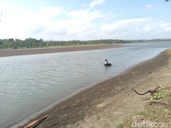 Kata Warga soal 7 Buaya Penghuni Tanjung Cemara Pangandaran