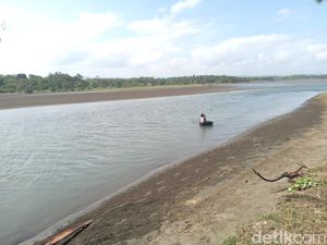 Kata Warga soal 7 Buaya Penghuni Tanjung Cemara Pangandaran Kata Warga soal 7 Buaya Penghuni Tanjung Cemara Pangandaran