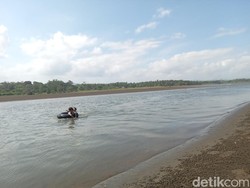 Cerita 7 Buaya yang Sering Muncul di Tanjung Cemara Pangandaran