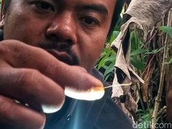 Jejak Misteri Harimau di Sukabumi hingga Ular Naga Penghuni Sanggabuana