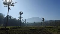 Kondisi Terkini Gunung Raung yang Sempat Keluarkan Abu Vulkanik