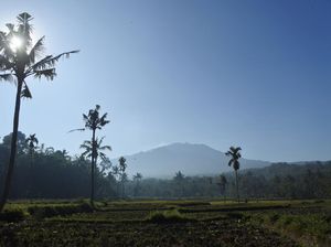 Warga-Wisatawan Diimbau Tak Dekati Kawah Usai Gunung Raung Meletus