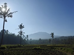 Warga-Wisatawan Diimbau Tak Dekati Kawah Usai Gunung Raung Meletus