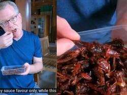 Tinggal di Blora, Bule Ini Cicip Belalang Goreng untuk Pertama Kali