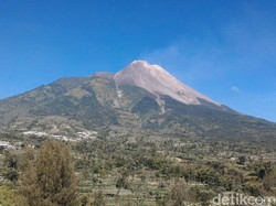 Sedekah Gunung Merapi Malam 1 Suro di Selo Boyolali, Ini Rangkaian Acaranya