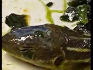 Pramugari Temukan Kepala Ular... di Dalam Makanan Pesawat