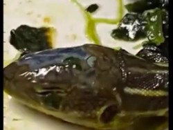 Pramugari Temukan Kepala Ular... di Dalam Makanan Pesawat